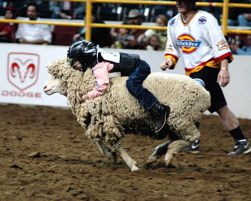 A National Western Stock Show rodeo event