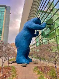 denver blue bear
